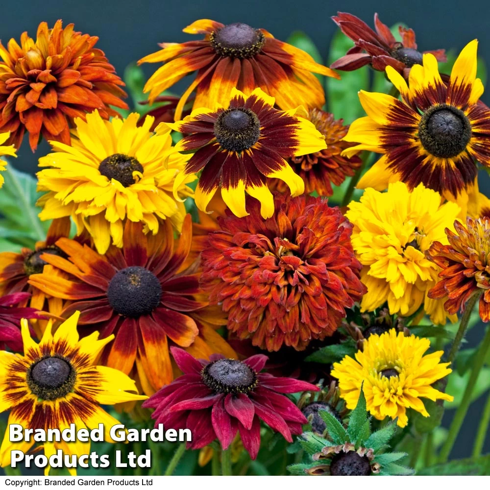 Summer Bedding Collection 5 Summer Bedding Collection - Image 5