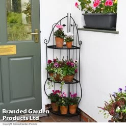 3 Shelf Metal Corner Plant Stand -Dobies STAN 3TIERLEAF T48526