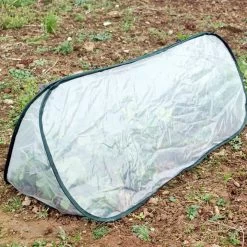 Pop Up Triangle Cloche - Polythene