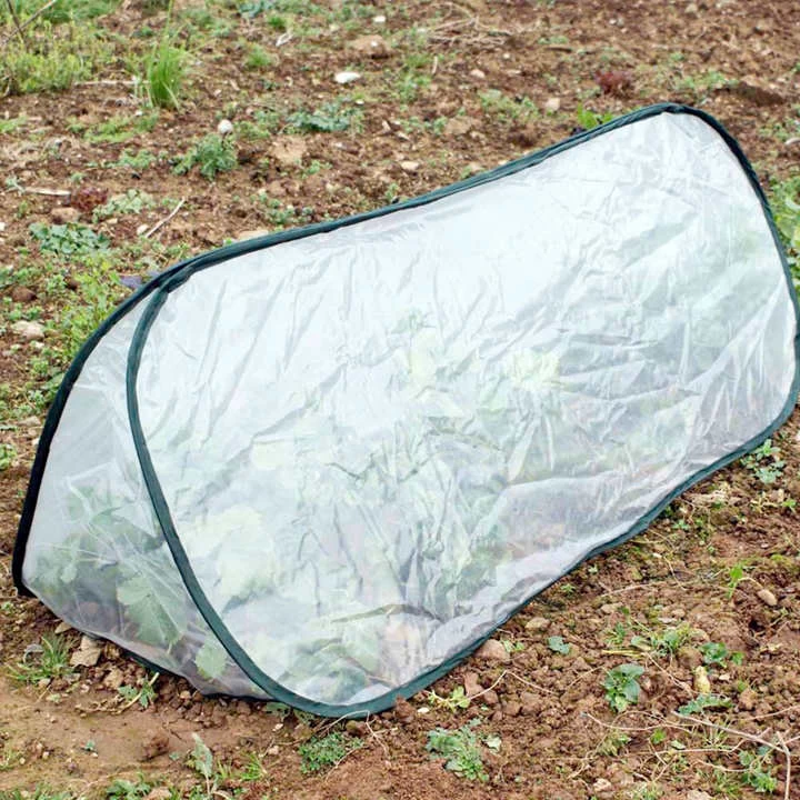Pop Up Triangle Cloche - Polythene 1 Pop Up Triangle Cloche - Polythene