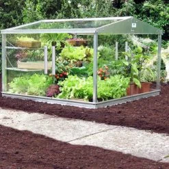 Cold Frame