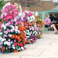 Wall Mounted Or Floor Freestanding Flower Tower -Dobies SUFLO25401