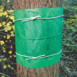 Glue Bands - Ready To Use