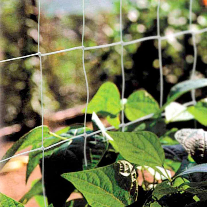 Pea And Bean Netting 1 Pea And Bean Netting