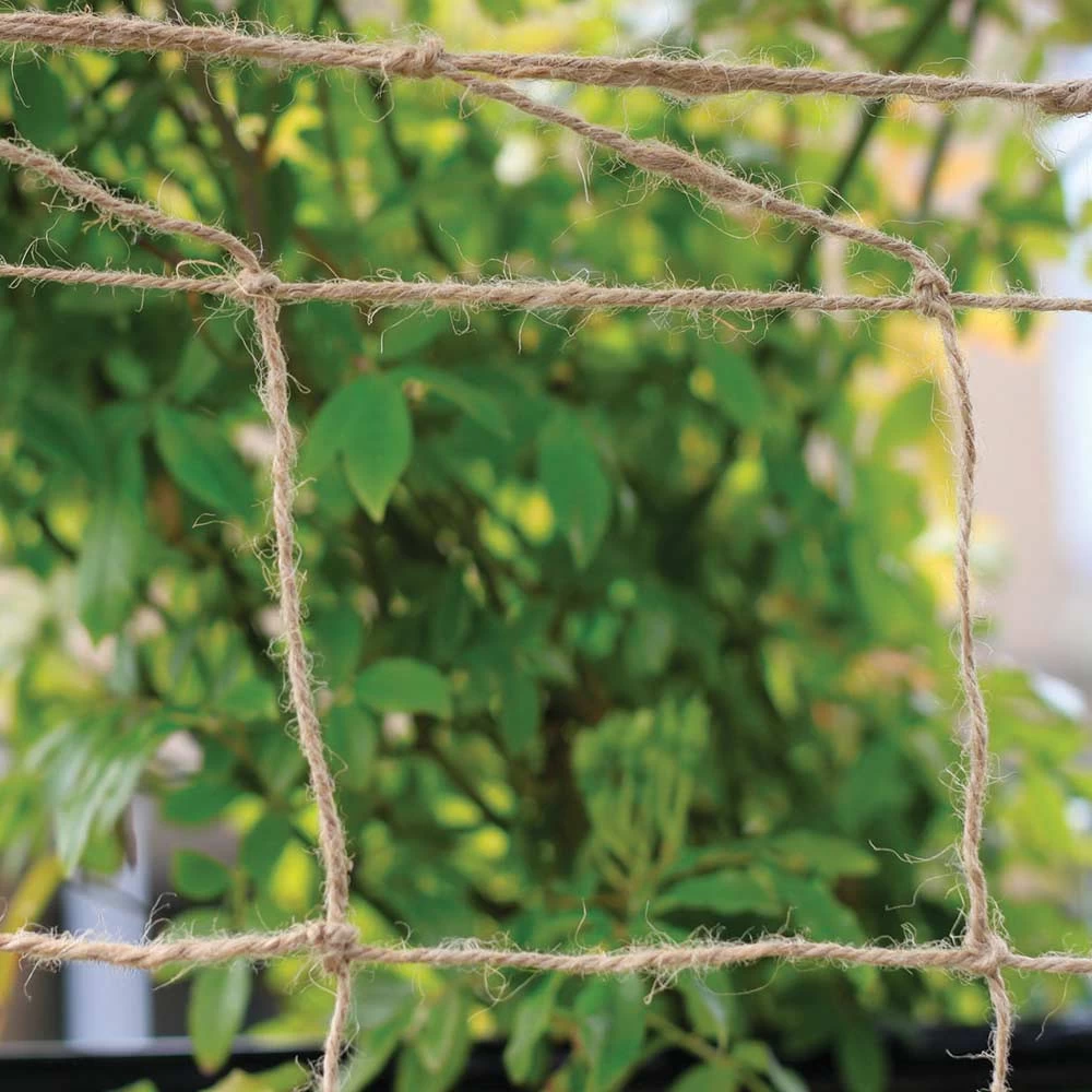 Biodegradable Netting 2 X 5m 2 Biodegradable Netting 2 X 5m - Image 2