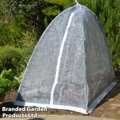 Popadome -Dobies SUPOP336251