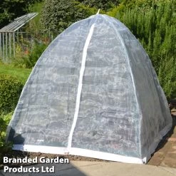 Popadome -Dobies SUPOP336282