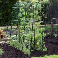 Garden Gear Pea & Bean Tunnel