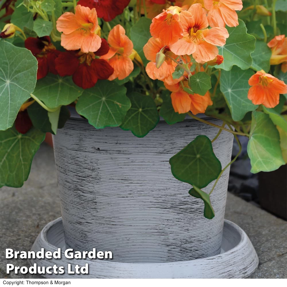 Modern Grey Patio Pot 2 Modern Grey Patio Pot - Image 2