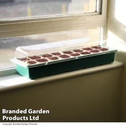 16 Cell Window Propagator -Dobies TRAY 16WINDOWG T54917