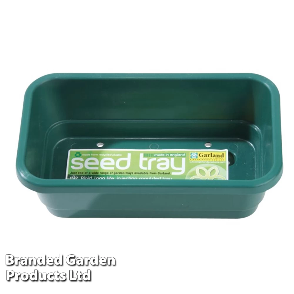 Seed Trays - Quarter Size 2 Seed Trays - Quarter Size - Image 2