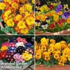 Winter Fire Bedding Collection