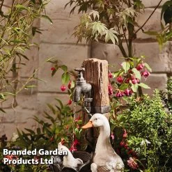 Duck Fountain -Dobies z HB216 6