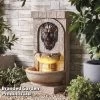 Lion Head Wall Water Feature